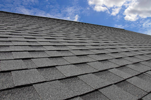 Best Roof Maintenance and Cleaning  in Carlisle, KY